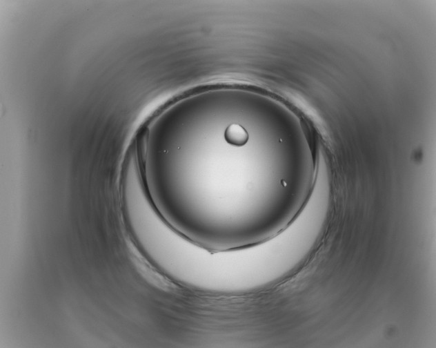 X0000093771372200710231304