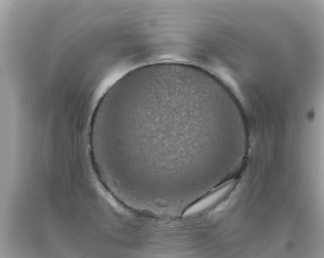 X0000093771373200710231304