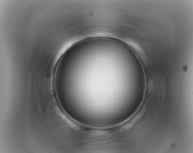 X0000093771374200710231304