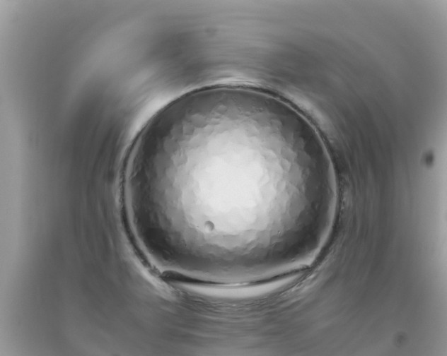 X0000093771375200710231304