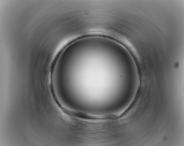 X0000093771376200710231304