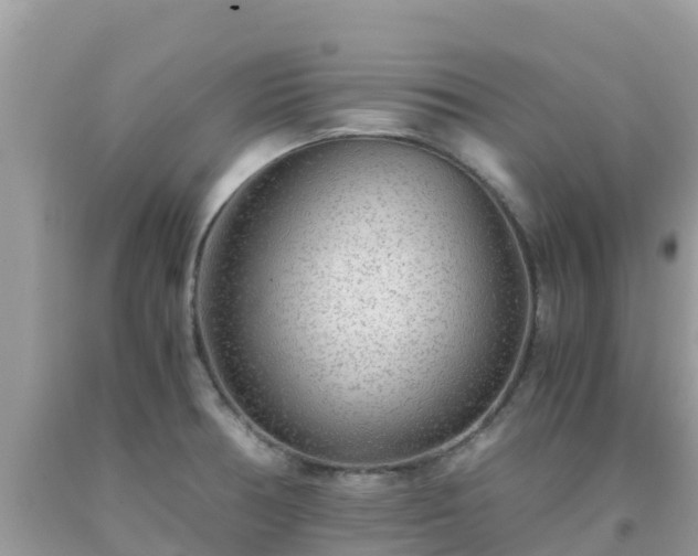 X0000093771378200710231304