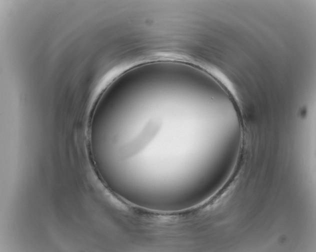 X0000093771381200710231304