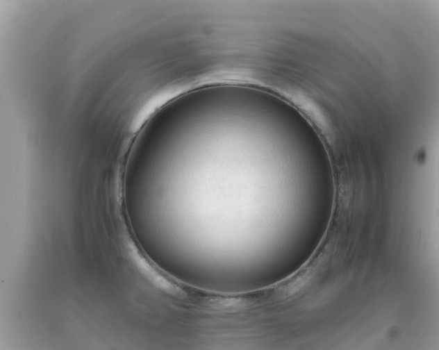 X0000093771382200710231304