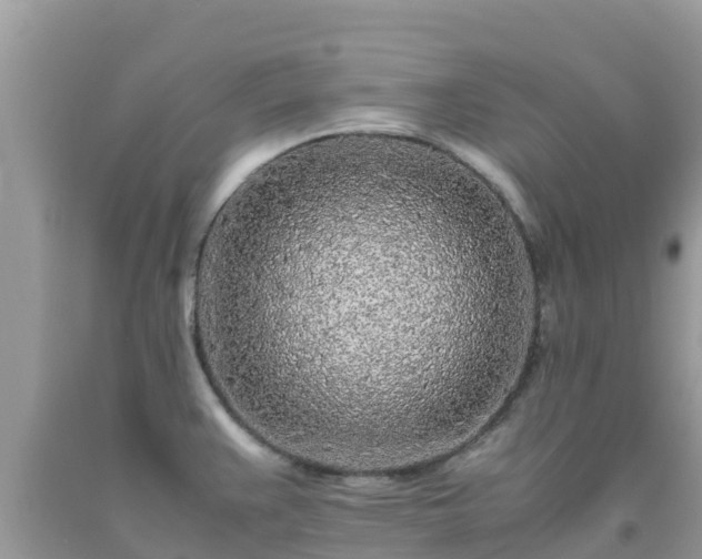 X0000093771383200710231304