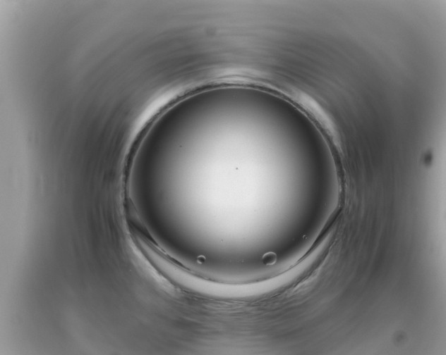 X0000093771384200710231304