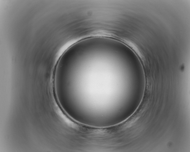 X0000093771387200710231304