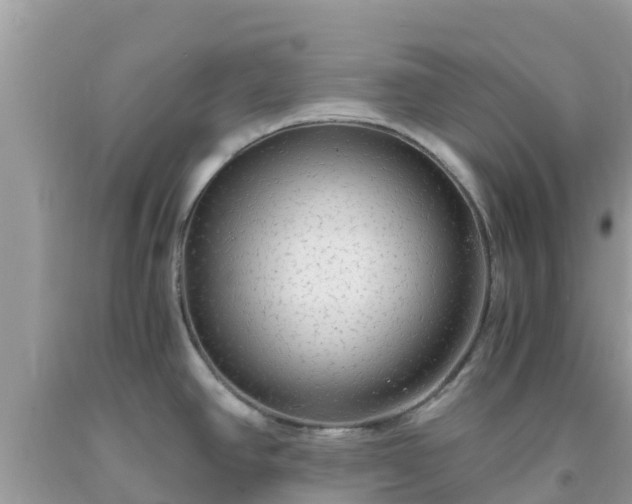 X0000093771390200710231304