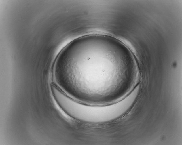 X0000093771391200710231304