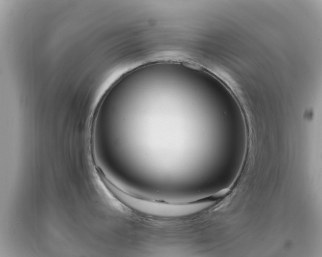 X0000093771392200710231304