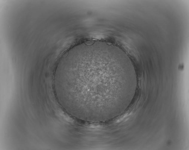 X0000093771393200710231303