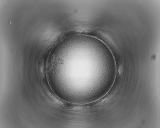 X0000093771396200710231303