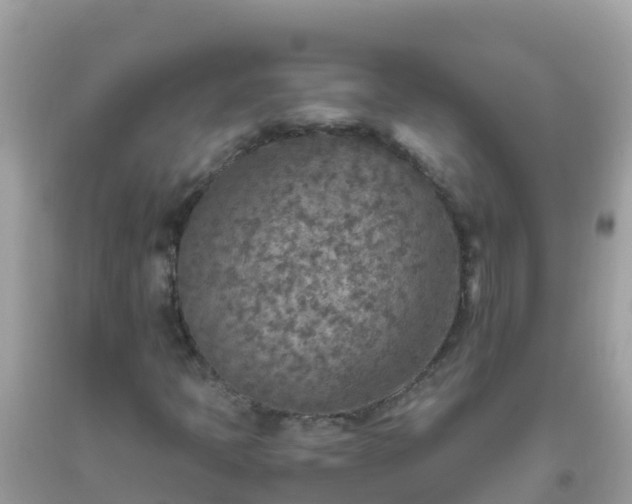 X0000093771397200710231303