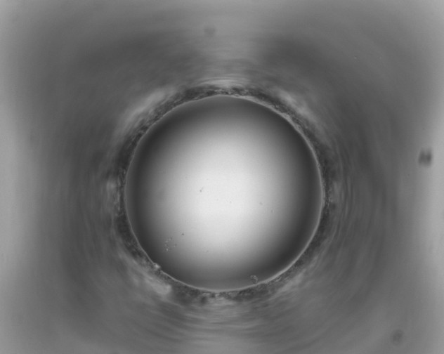 X0000093771398200710231303