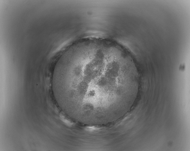 X0000093771399200710231303