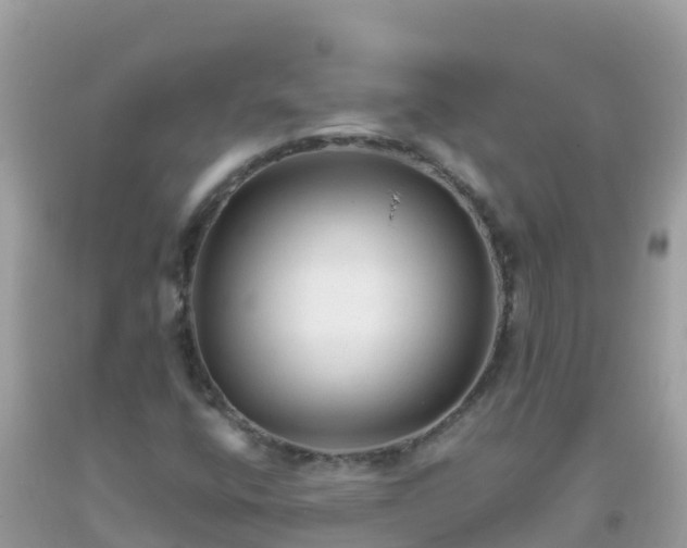 X0000093771400200710231303