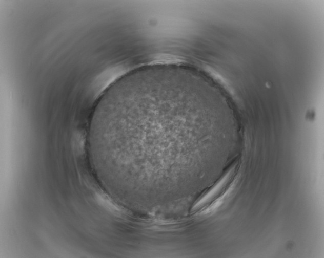 X0000093771401200710231303