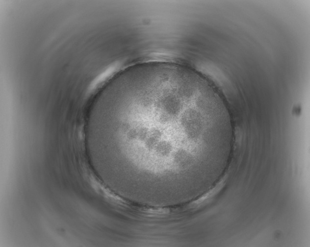 X0000093771403200710231303