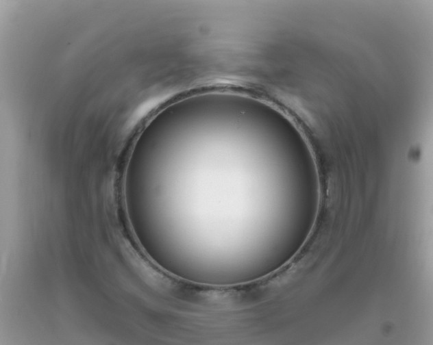 X0000093771404200710231303