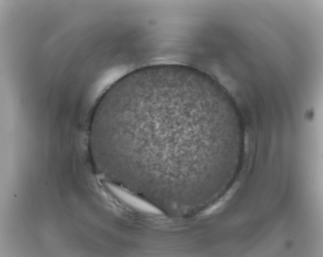 X0000093771405200710231303