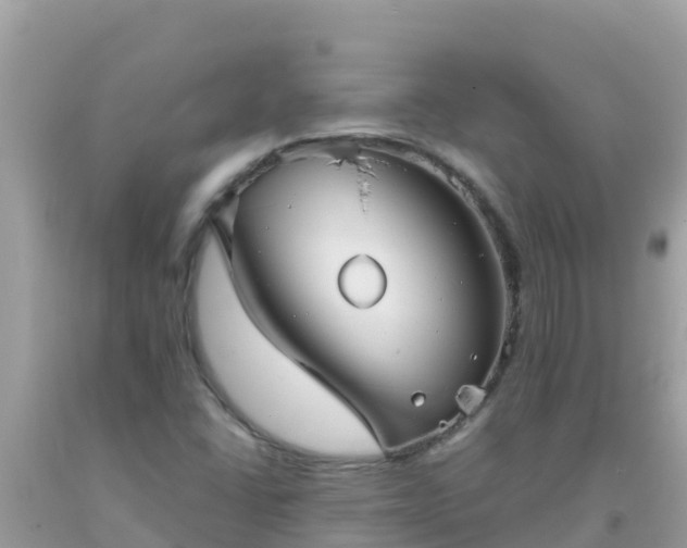 X0000093771406200710231303