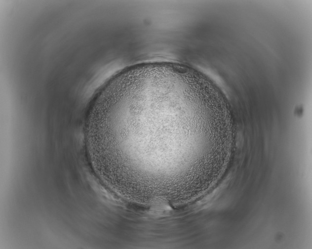 X0000093771407200710231303