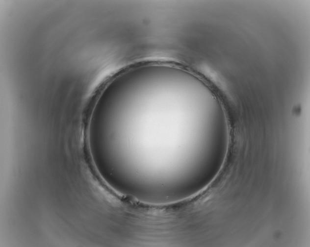 X0000093771408200710231303