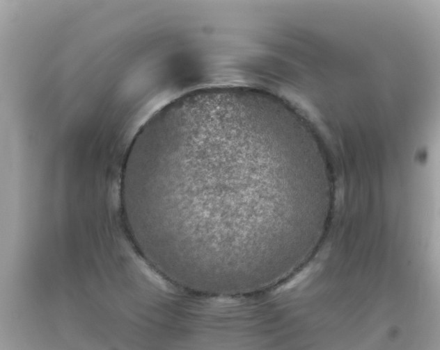 X0000093771409200710231303