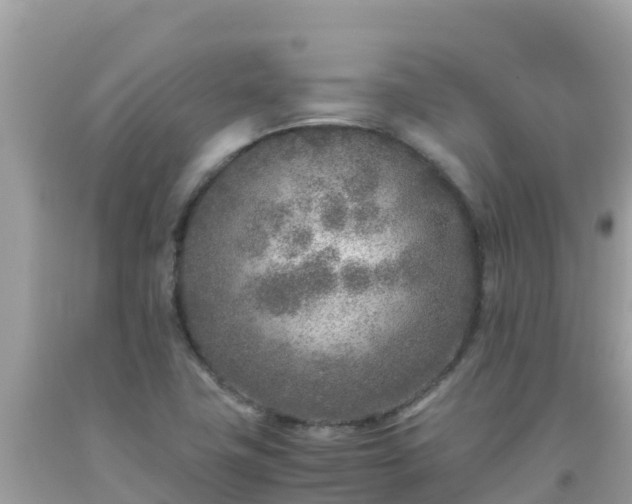 X0000093771411200710231303