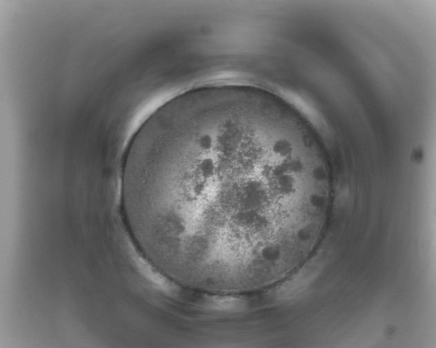 X0000093771413200710231303