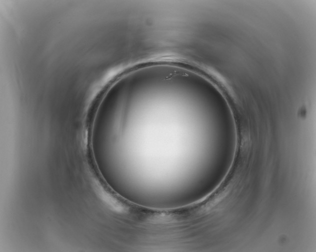 X0000093771414200710231303