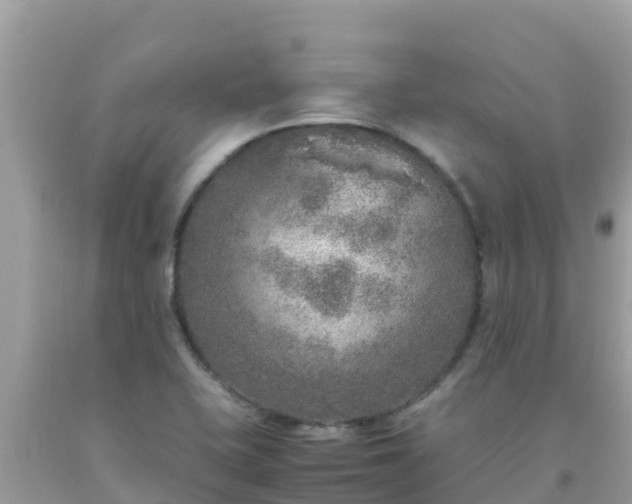 X0000093771415200710231303