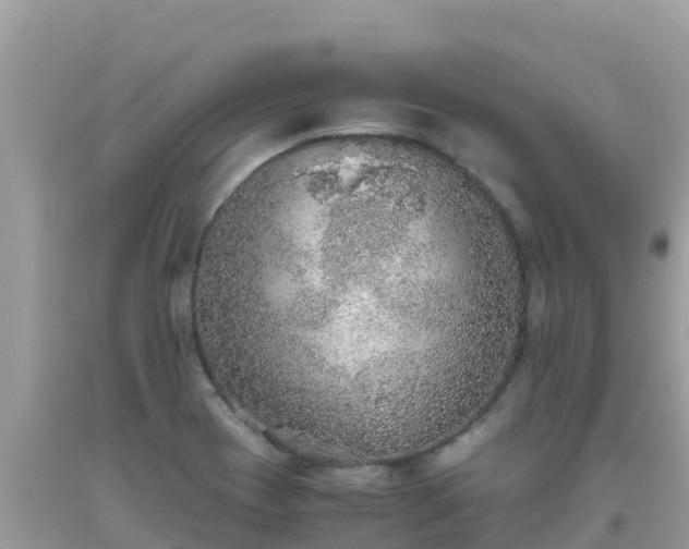 X0000093771417200710231303