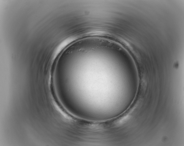 X0000093771418200710231303