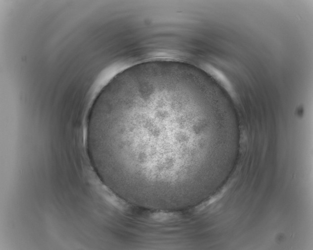 X0000093771419200710231303