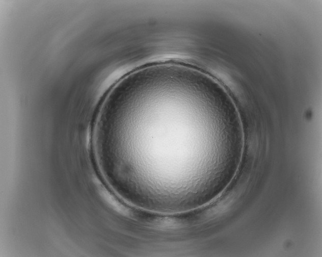 X0000093771420200710231303