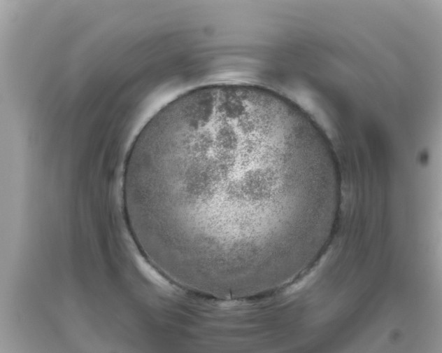 X0000093771421200710231303