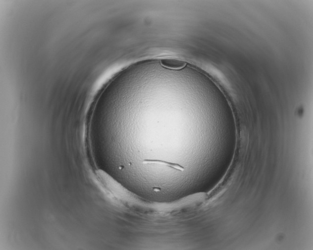 X0000093771424200710231303