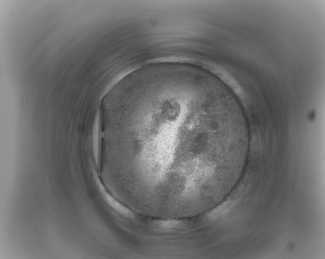 X0000093771425200710231303