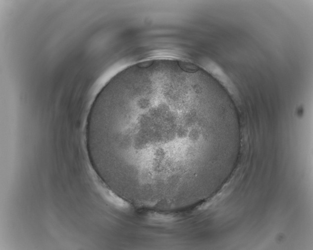 X0000093771427200710231303