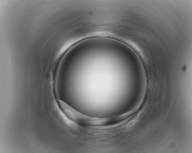 X0000093771430200710231303