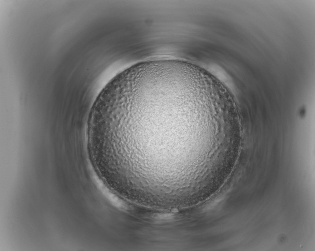 X0000093771431200710231303