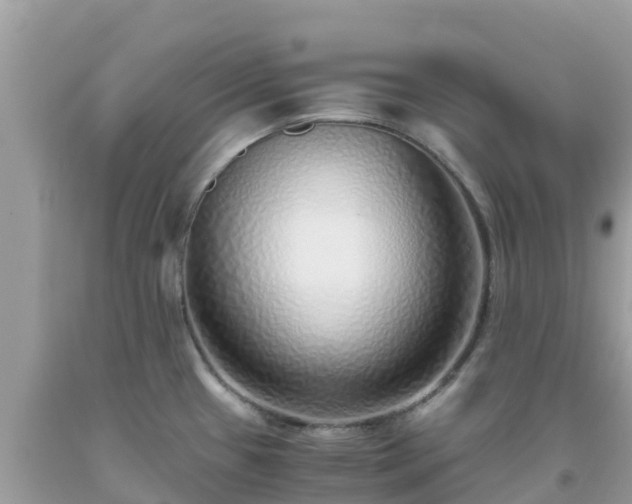 X0000093771433200710231303