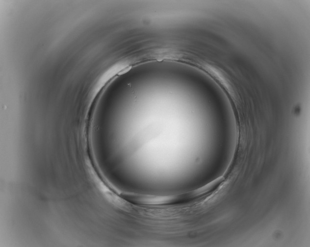 X0000093771434200710231304