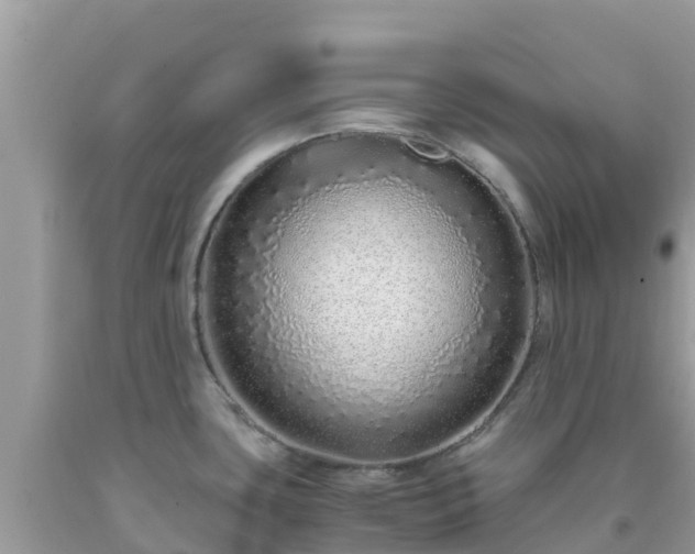 X0000093771435200710231304