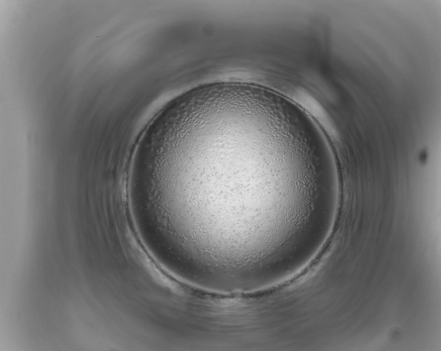 X0000093771436200710231304