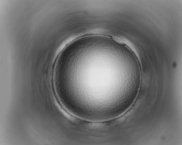 X0000093771437200710231304