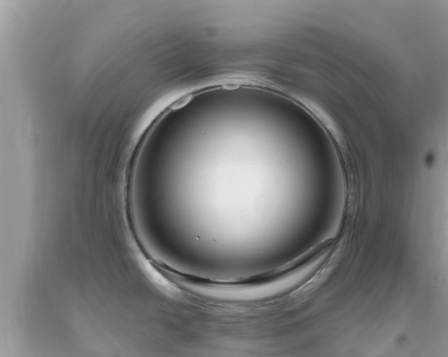 X0000093771438200710231304