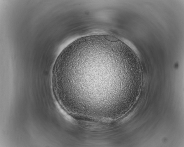 X0000093771439200710231304