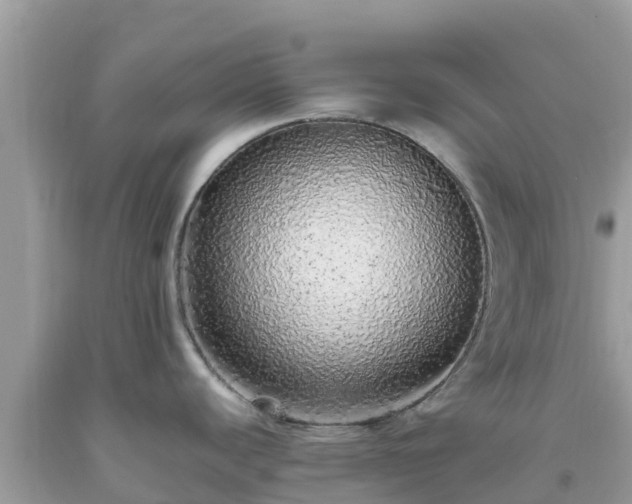 X0000093771440200710231304